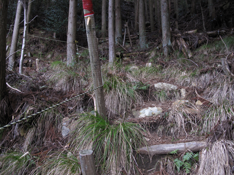 20140102hike (54)